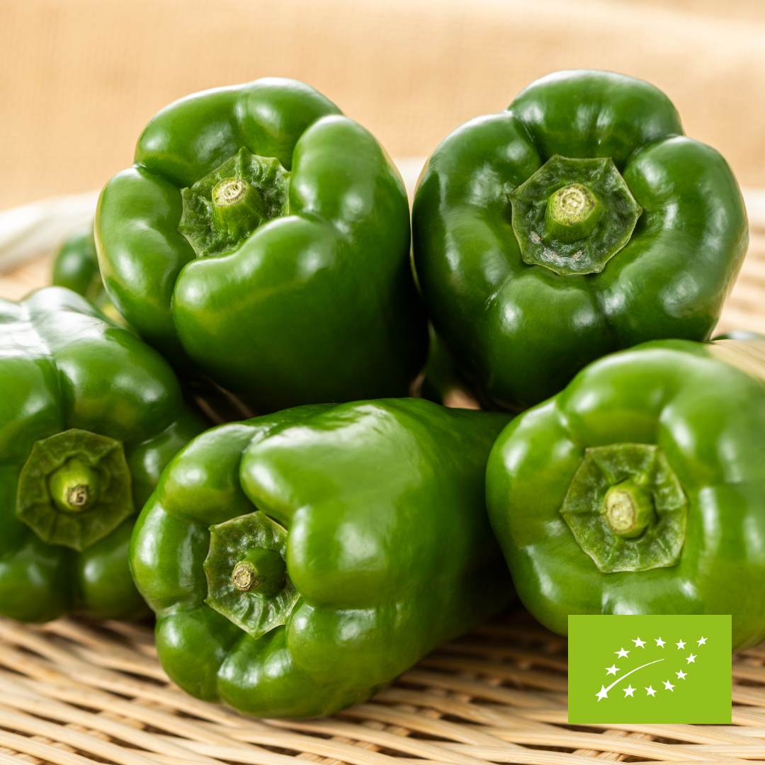 Papryka zielona EKO ok. 500 g